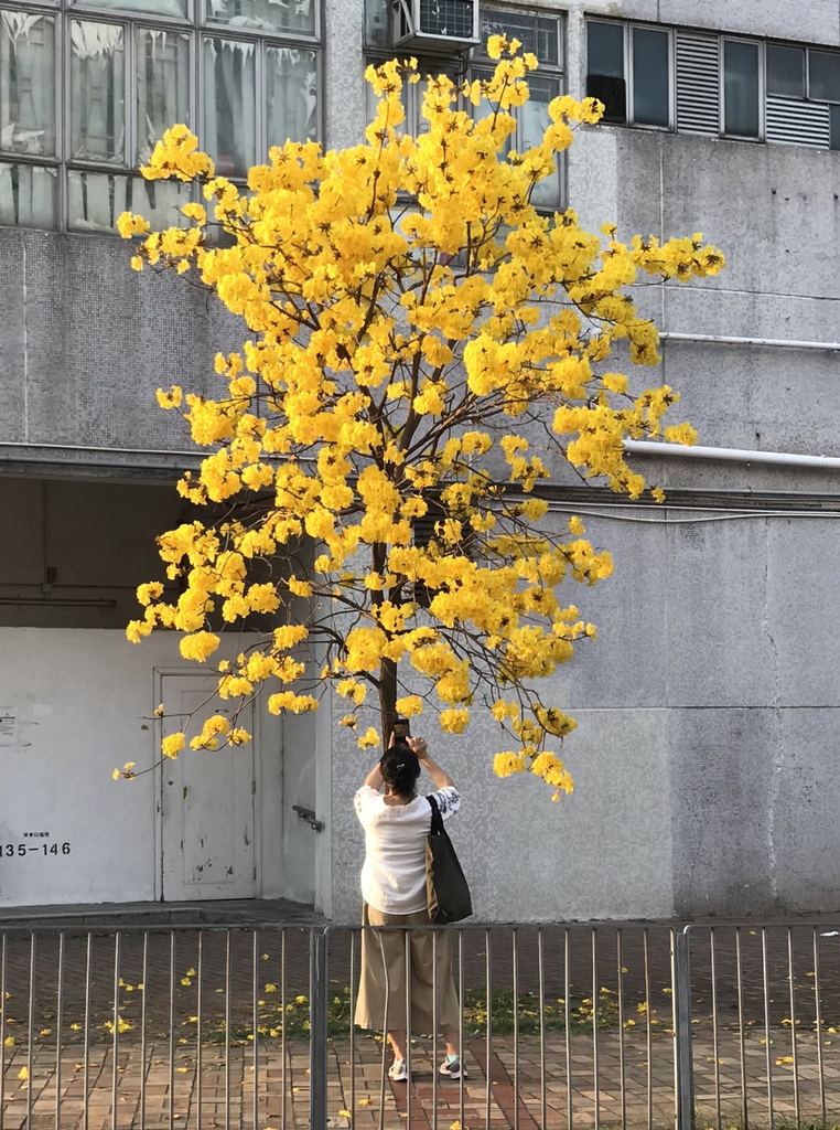 61A6AA2E-12F9-4CF7-80DF-A1565F72F51C.jpeg