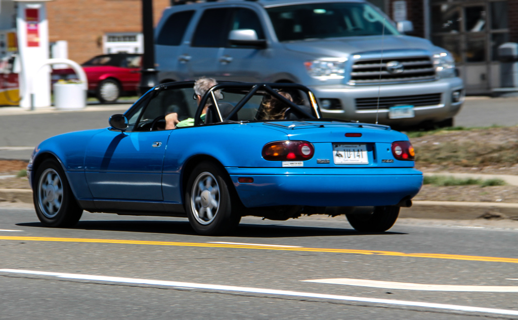 6004682.jpg
