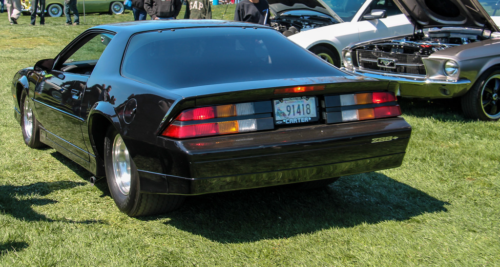 5999857.jpg