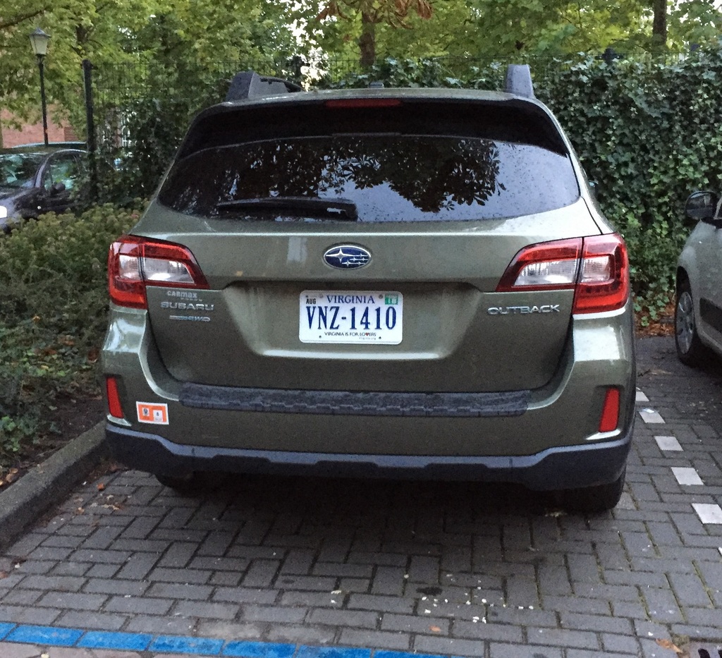 41631021.jpg