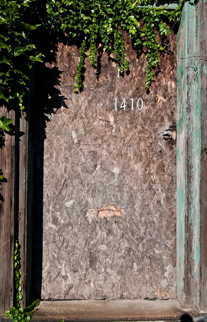 6146392.jpg