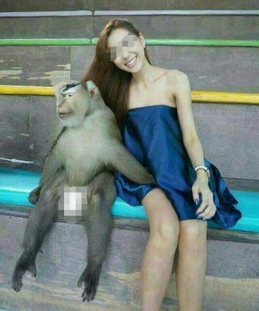 WhatsApp Image 2022-05-03 at 11.20.14 AM.jpeg