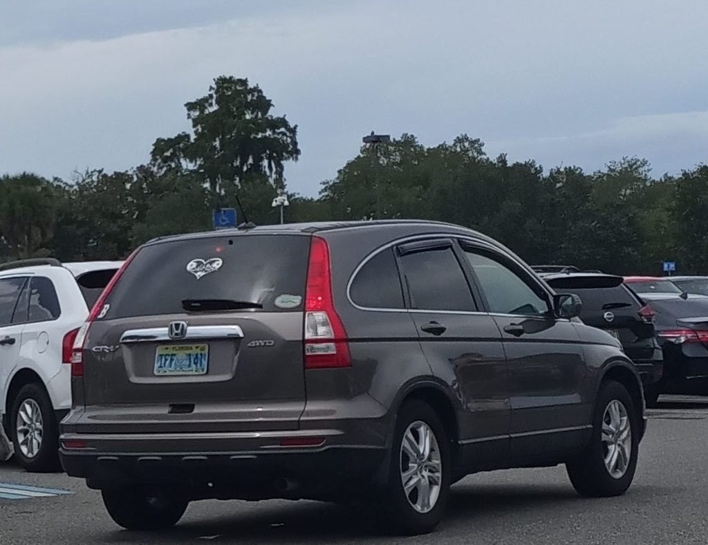16870016.jpg