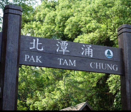 Screenshot_20220517-154036_Samsung Internet.jpg