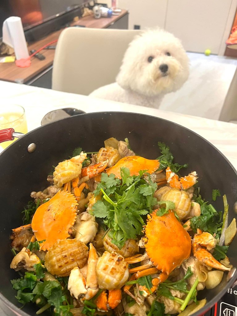 1鮑魚奄仔蟹雞煲.jpg