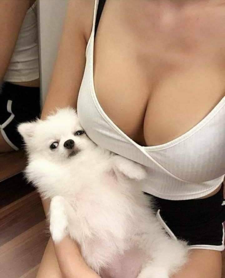 WhatsApp Image 2022-05-31 at 8.47.14 AM (2).jpeg