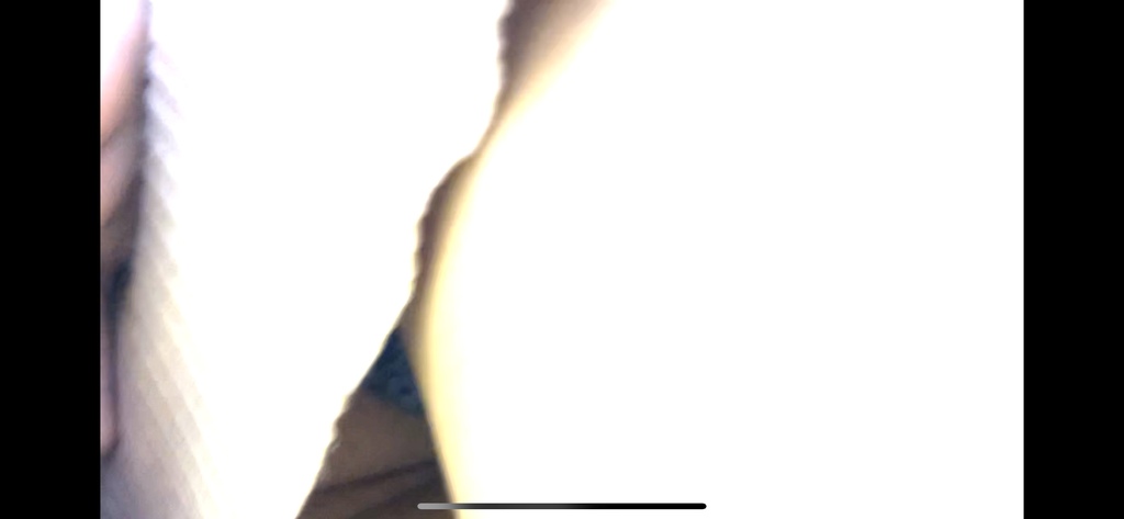 D0203F40-7B64-4CD3-87EF-088A04FCF979.jpeg