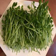 下載檔案 (15).jpeg