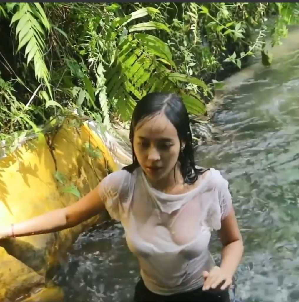 Rumas Alvia.jpg