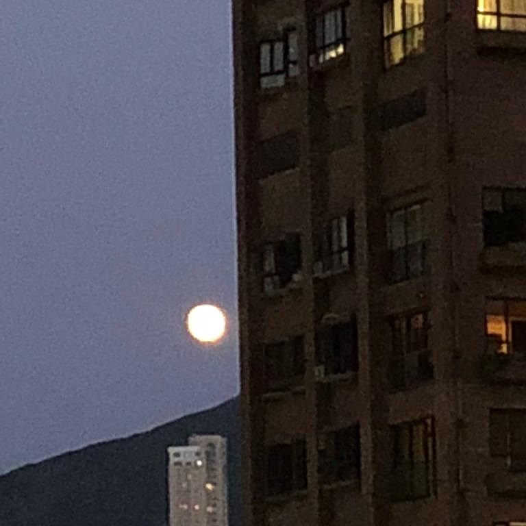 IMG_20190913_194949_411.jpg