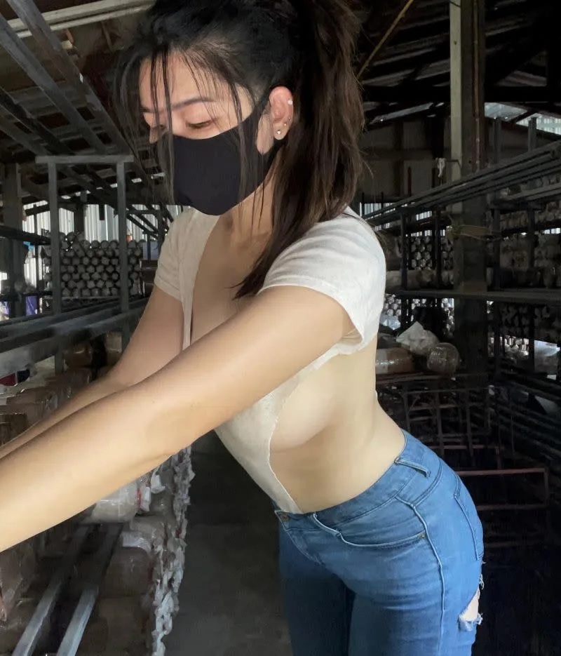 6 Mika菇園工作照。.jpg