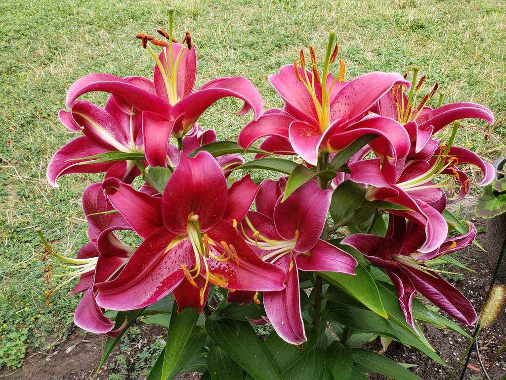 IMG-20220730-WA0009.jpg