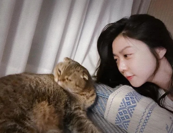 現年41歲的薛凱琪日前分享與貓貓的生活照。.jpg