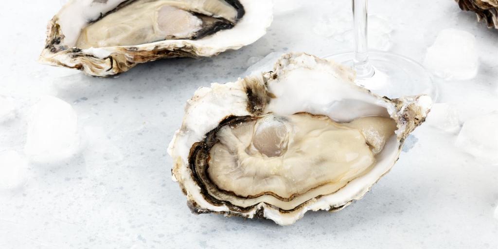 新鲜生蚝的全景特写镜头-新鲜生生的大牡蛎全景冰特写镜头-218294912.jpg.jpg
