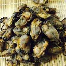 下載檔案 (15).jpeg