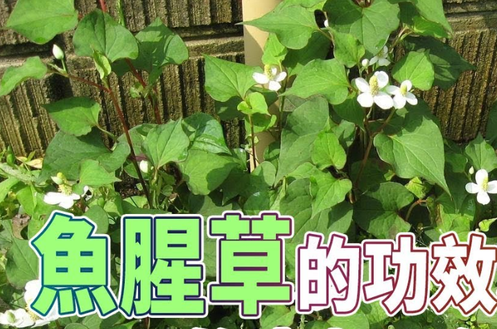 Screenshot from 2022-10-03 02-54-01.png