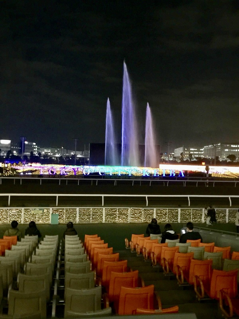 大井馬埸燈飾show