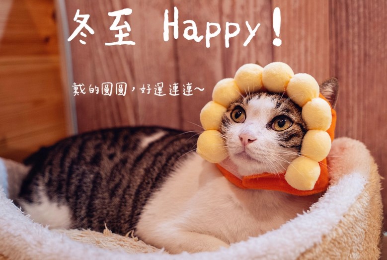 happy tung chi.jpg