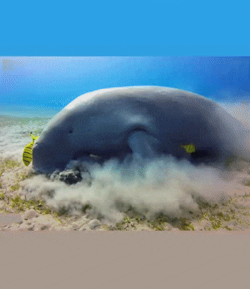 吸塵機01.gif