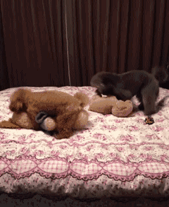 玩4P.gif