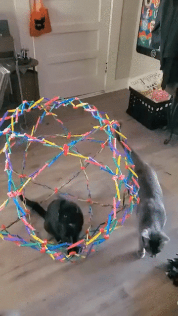 伏魔圈001.gif