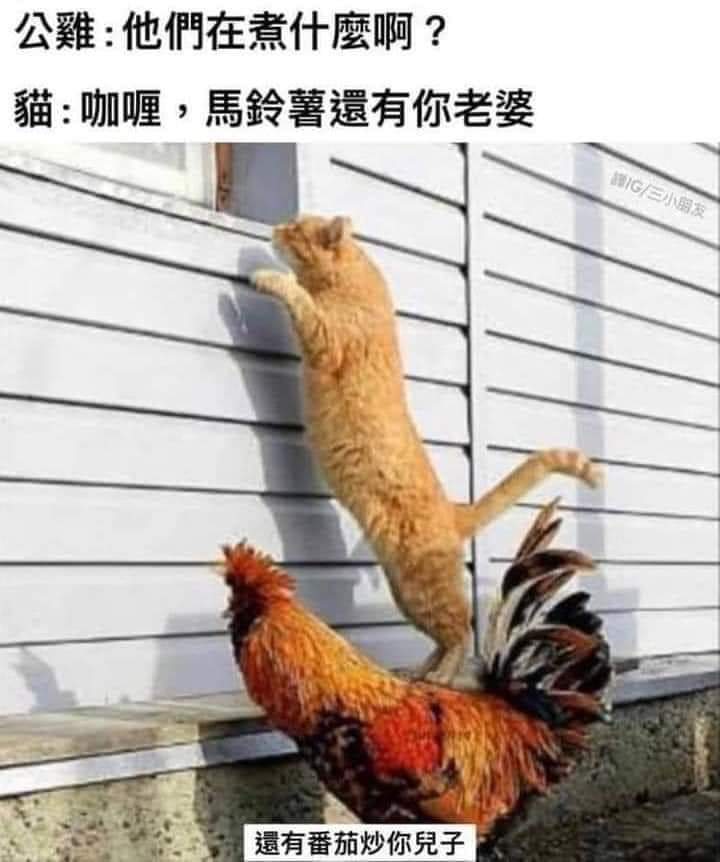 FB_IMG_1672899059295.jpg