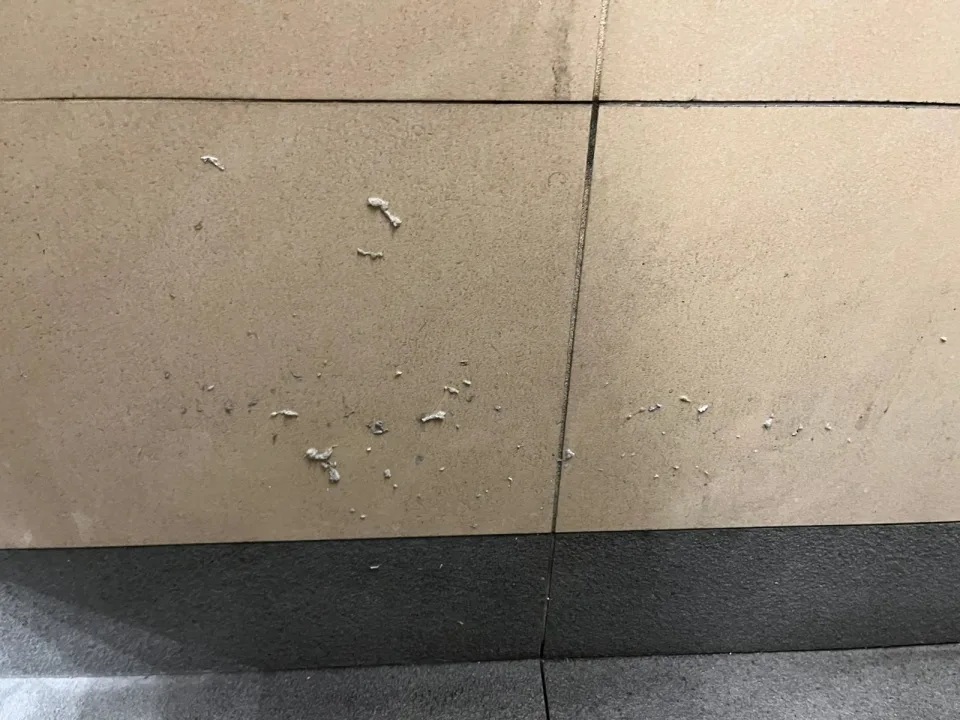 2 員工廁所的牆壁佈滿污垢，員工反映長期無人清理。.jpg