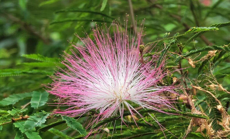 WhatsApp 圖片2024-04-0718.07.17_3d47aad4.jpg