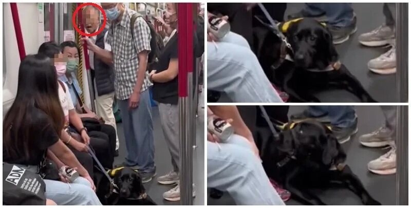 主人疑似委屈落淚但仍捉實狗繩，鄰座一名女乘客則安慰她「唔使喊，佢唔識啫」。此時，.jpg