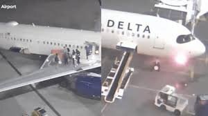 images - 2024-05-15T085608.966.jpeg