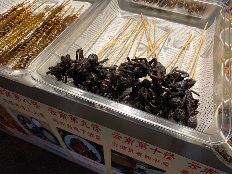 WhatsApp Image 2024-06-21 at 07.30.39(9).jpeg