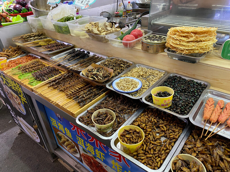 WhatsApp Image 2024-06-21 at 07.30.39(8).jpeg