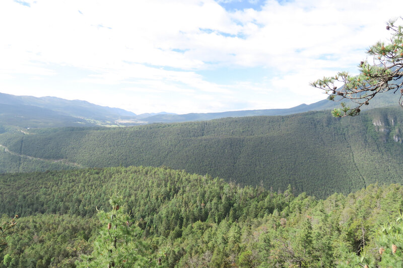 WhatsApp Image 2024-06-21 at 07.40.18(3).jpeg