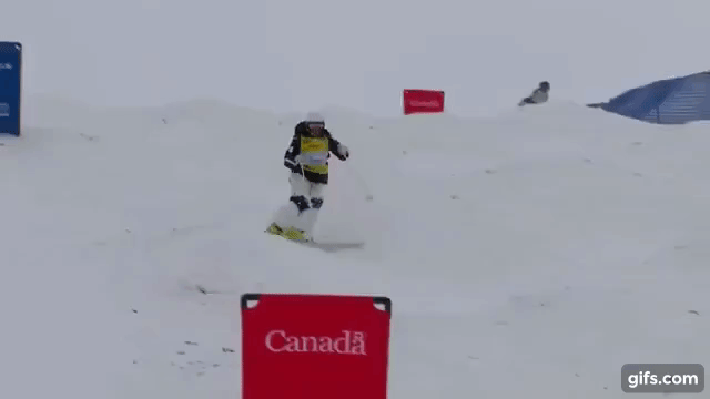 Ski Bump_3 - Copy.gif