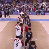 Volleyball_2 - Copy.gif