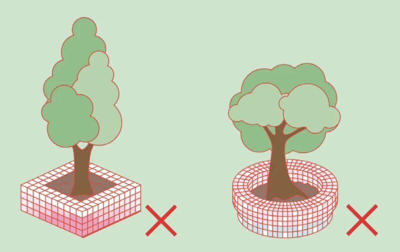 3 大花盆佔據大量地面空間，影響居民享用樹蔭的機會。.jpg