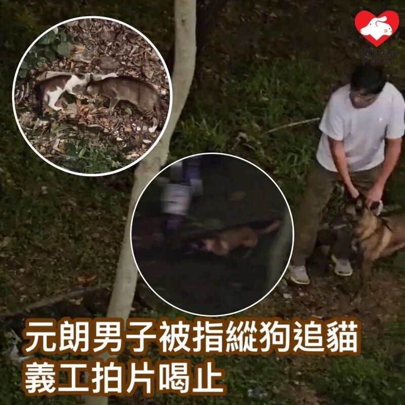 元朗一男子懷疑縱狗追貓 義工即場拍片喝止.jpg