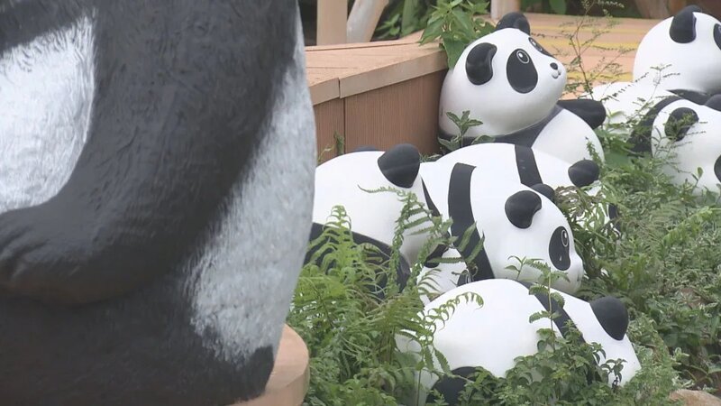 李家超：中央贈港一對大熊貓後日抵港 10月辦本地徵名活動.jpg