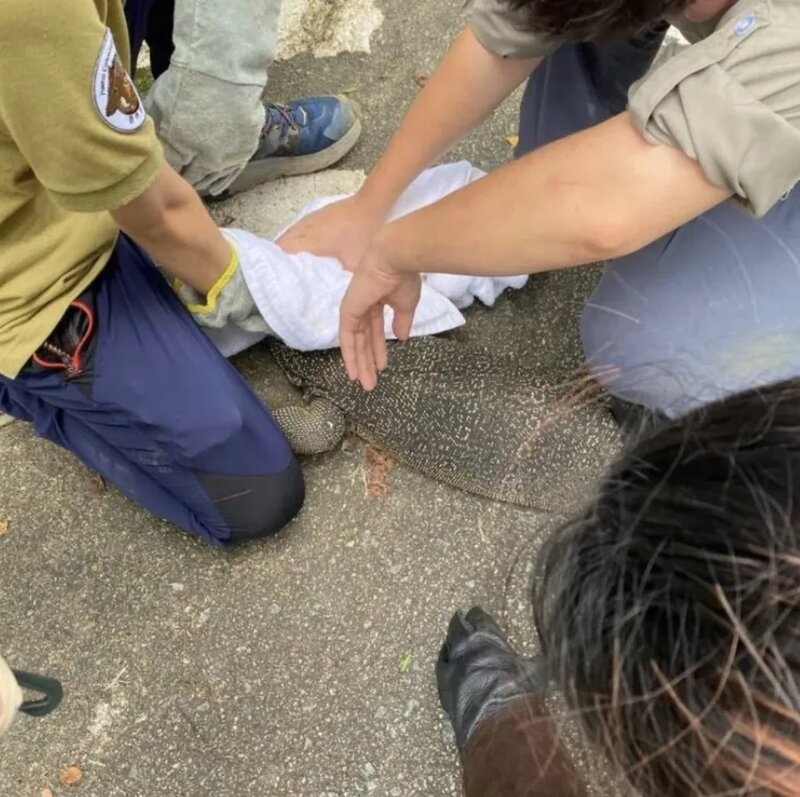 2 護理員去年合力制服 Aberdeen，遣返「原居地」。.jpg