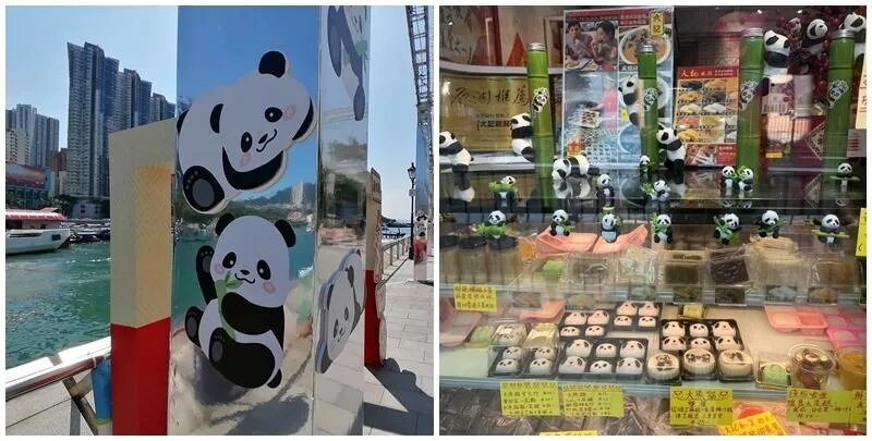 園方所處的港島南區已做好準備迎接「大熊貓經濟」，有中式糕點推出熊貓元素糕點，大熊.jpg