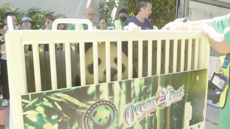 4 安安和可可，於9月26日下午約1時20分抵達海洋公園。（海洋公園圖片）.jpg