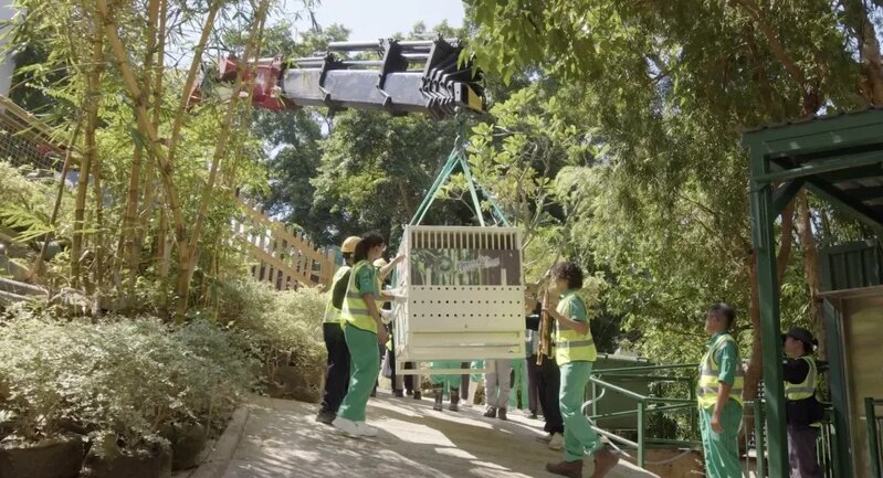 5 安安和可可，接受為期最少30天的隔離檢疫，緊接會在約一個月慢慢適應新環境。.jpg