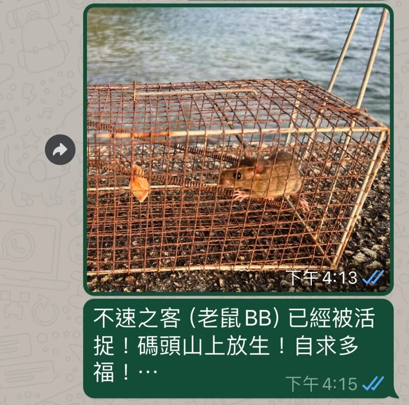 3 蔡堅成發送照片，表示自己已放生老鼠「自求多福」。.jpg