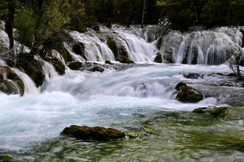 DSC_3634.jpg