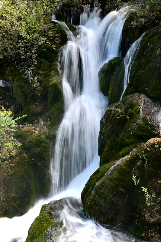 DSC_3609.jpg