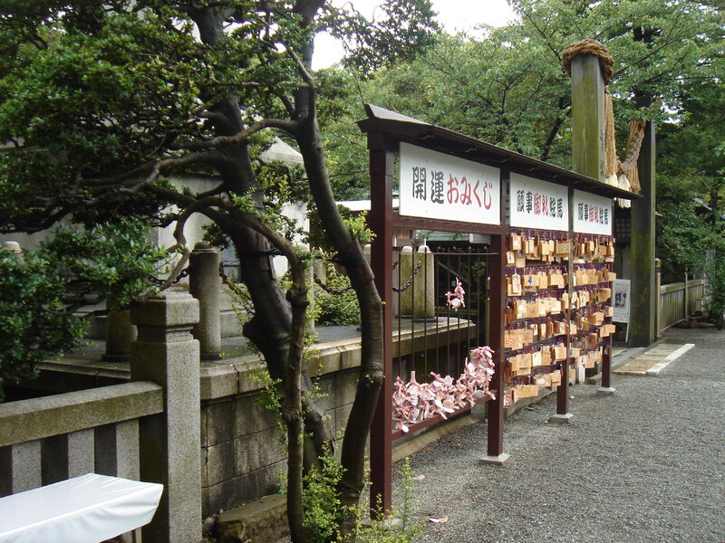 DSC07469.JPG