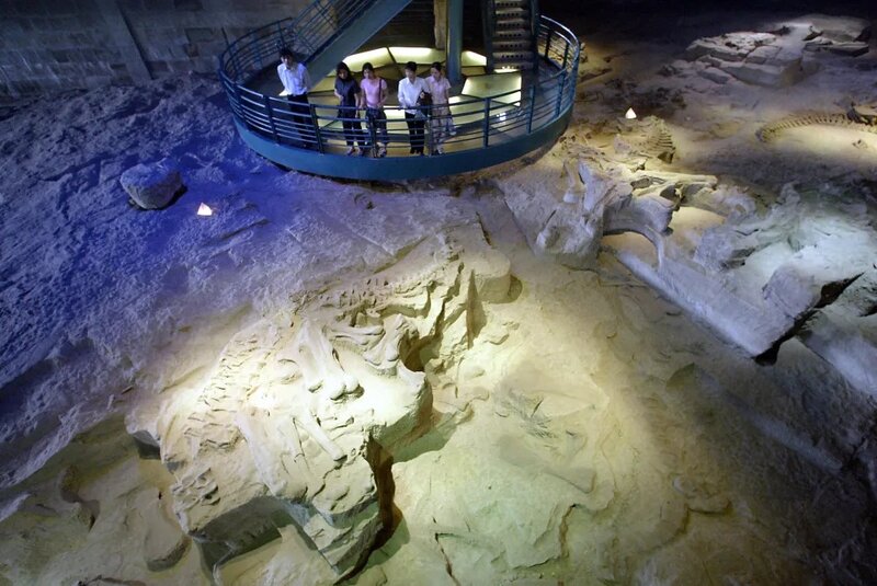 3 自貢恐龍博物館展出1.6億年前的恐龍化石。.jpg