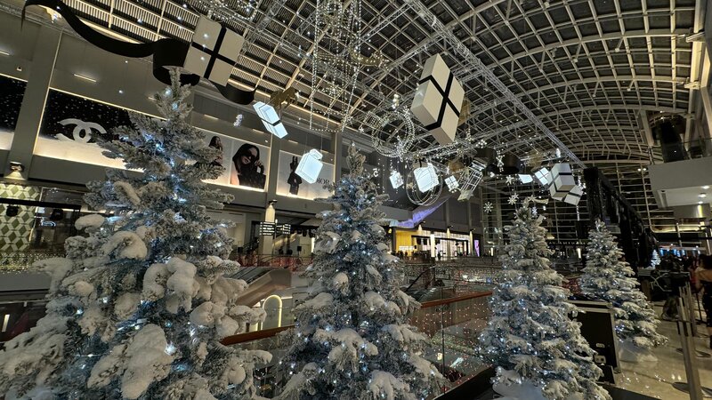 465992829_963279615834084_6460169626345639522_n (1).jpg