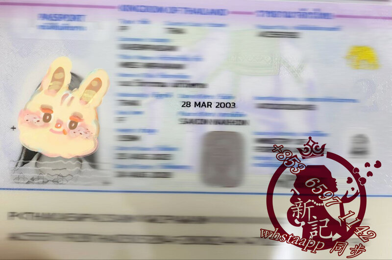 photo_2024-08-26_16-33-05 (2).jpg