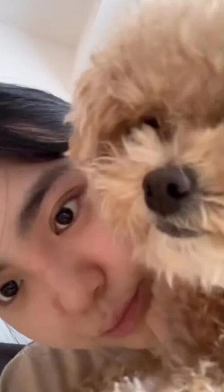 4  貼出同愛犬的自拍，看來姚焯菲已回到香港。.jpg